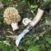 Opinel Kayın Saplı Mantar Toplama Bıçağı Unisex, Kahverengi, Standart