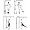 Spor Byfit D Halkalı Ayak ve El Bileği için Ağırlık Çekiş Kayışı