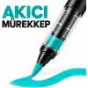 Akrilik Marker Kalem Seti 24lı, Esnek Fırça Uçlu Boya Kalemi