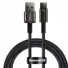 Baseus TngstnGld ŞrjKbl USB-C-C 100W2m-S