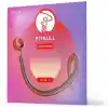 Pitbull Elektro Gitar Teli Venüs Seri VEG 10-46 L