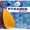 Pyramid Premium Kalite Uzun Sap Saz Teli 0.20 mm