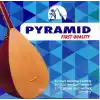 Pyramid Premium Kalite Uzun Sap Saz Teli 0.20 mm