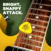 Jim Dunlop Tortex Standart Pena (1.00mm)