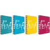 Faber-Castell PP Kapak Şato 80 YP, Kareli, Asorti