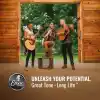 Elixir Akustik Bronz Nano Tel 012/053 (3lü Paket)