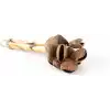 Bambu Coconat Mangis Marakas Müzik Aleti