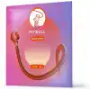 Pitbull Venüs Akustik Gitar Teli Extra Light VAG 11-52 EL