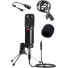 Lastvoice BM800 Full Black Kondenser Youtuber Mikrofon, 7.1