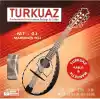 Mt-01 Takım Mandolin Teli - Set