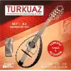 Mt-01 Takım Mandolin Teli - Set