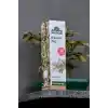 Arifoğlu Biberiye Yağı 20ml%100 Saf Yağ – Saç Bakımı ve Saç Güçlendirici Etki İçin | Arifoğlu Rosemary Oil 20ml 100% Pure – Hair Care and Strengthening Effect