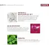 Bioxcin Forte Tonik 200 ml - Mentol Ferahlığı - Yoğun Saç Dökülmesine Karşı Tonik