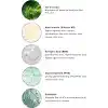 Cream Co. Akne & Siyah Nokta Karşıtı Gözenek Sıkılaştırıcı BHA/PHA Niacinamide Salisilik Asit Tonik 200 ml