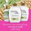 ogx besleyici ve kırılma karşıtı coconut milk serum 100 ml