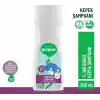 Siveno%100 Doğal Kepeğe Karşı Etkili Şampuan Günlük Bakım Yağlı Saçlar Çay Ağacı Keklik Üzümü Vegan 300 ml