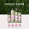 Urban Care Rosemary & Clove Biberiye ve Karanfil Canlandırıcı ve Güçlendirici Saç Bakım Şampuanı-350 ml-vegan