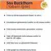 Celenes By Sweden Sea Buckthorn Dengeleyici Yüz Bakım Kremi Yağlı/Karma Ciltler 50 ml