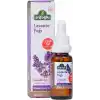Arifoğlu Lavanta Yağı 20ml Katkısız ve Doğal İçerikli Cilt Bakım Yağı Aromaterapi