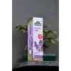 Arifoğlu Lavanta Yağı 20ml Katkısız ve Doğal İçerikli Cilt Bakım Yağı Aromaterapi