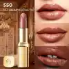 LOreal Paris Color Riche Saten Bitişli Ruj - 550 Nude Unapologetic