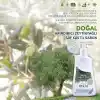 INCIA%100 Doğal Sıvı Kastil Sabunu Arındırıcı Zeytinyağlı 10 Bitkisel Değerli Yağ Vegan 250 ml