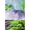 Avon Musk Marine Erkek Parfüm Edt 75 Ml.