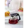 Isıya Dayanıklı Cam Demlik, Süzgeçli Çaydanlık, Filtreli Çay Demleme Çiçek Çayı ve Bitki Çayı İçin (900ML)
