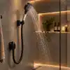 6 Fonksiyonlu Arıtmalı Duş Başlığı Seti, Mat Siyah, Kireç Arıtıcı Banyo Filtresi, Saç ve Cilt Koruyucu, Spiral Hortum, Duvar Aparatı, 5 Yedek Filtreli Komple Set