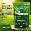 Çok Yıllık Çim Tohumu 1 Kg Uzun Ömürlü 6lı Karışım Gölge ve Aşırı Güneşli Alan Uygun Yetiştirilmesi Kolay 4 Mevsim Yeşil