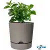 ToXA Begonya Saksı Tabaklı Drenajlı Mat Plastik Çiçek Saksısı (1 Adet, 9 Litre, 25cm, Bej)