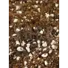 SUBSTRAT LIGHT MIX Ithal Sphangum Torfu Cocopeat Perlit Özel Karışım Saksı Harcı Çiçek Ve Bitki Toprağı 1 LT