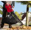 Einhell Elektrikli Yaprak Toplama Makinesi GC-EL 3024 E 3433370