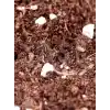 Substrat Mix Ithal Torf Cocopeat Perlit Özel Karışım Saksı Harcı Çiçek Ve Bitki Toprağı 3 LT