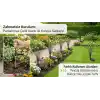 Güneş Enerjili Ateş Böceği Bahçe Aydınlatması, IP65 Su Geçirmez Dış Mekan Dekoratif Solar Lamba, 2 Modlu (Sabit/Yanıp Sönen), Otomatik Sensörlü Çim, Veranda ve Peyzaj Işığı