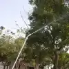 Epilons Yüksek Basınçlı Güçlü Su Tabancası Yıkayıcı Bahçe Hortumu Nozulu Püskürtme Fıskiye Su Jeti Araba Yıkayıcı Bahçe Sulama Temizleme Aleti (Renk: 50 cm)