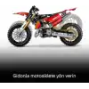 LEGO Technic Ducati Desmo450 MX Factory Motosiklet 42238