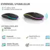 Infomax Kablosuz Mouse, Çift Modlu (Bluetooth 5.0 + 2.4Ghz USB) Şarj Edilebilir RGB Işıklı Sessiz Mouse, PC, Laptop, Macbook, Tablet, iPad, Telefon Uyumlu (BGMS, Siyah)