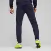 PUMA Teamgoal günlük pantolon Örgü pantolon Erkek