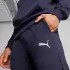 PUMA Teamgoal günlük pantolon Örgü pantolon Erkek