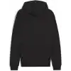 PUMA Teamgoal Casuals Erkek Kapüşonlu Ceket Ter