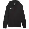 PUMA Teamgoal Casuals kapüşonlu sweatshirt Kazak Erkek