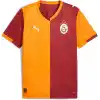 Galatasaray 2025/26 İç Saha Erkek Kırmızı Futbol Forması 77980901