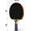 TELVESSE 4LÜ Çantalı Masa Tenisi Raketi Seti Amatör Başlangıç Seviye Maç Raketi 2 Raket 2 Top