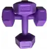 Leyaton Mor Dambıl 2 Kg x 2 Adet Vinyl Kaplı Fitness Dumbell Ağırlık Seti, 2KG2MORR