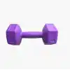 Leyaton Mor Dambıl 2 Kg x 2 Adet Vinyl Kaplı Fitness Dumbell Ağırlık Seti, 2KG2MORR