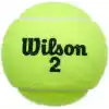 Wilson Champ Extra Duty Tennis Balls