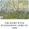 Retronote Van Gogh 4lü Defter Seti 2, Blooming Series, Çizgisiz, 64 Sayfa, 14x21cm
