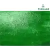 Terlans Su Bazlı Parlak Vernik | 100 ml | Akrilik ve Yağlı Boya Koruyucu