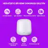 Philips Smart Lighting Hero Akıllı Masa Lambası (Type-C) - Google Home, Alexa, HomeKit ve Matter uyumlu